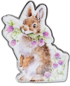 Wrendale Designs - Head Clover Heels' Rabbit Pin Badge