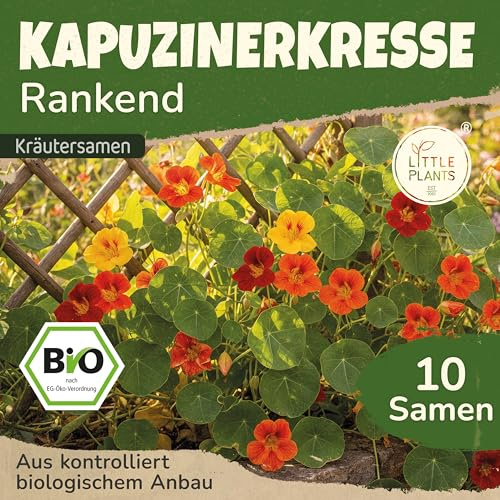Little Plants BIO Kapuzinerkresse Samen 10 Kapuzinerkressesamen Rankend Kräutersamen Kräutersaatgut Samenfest für Kräutergarten und Küche, Balkon und Garten