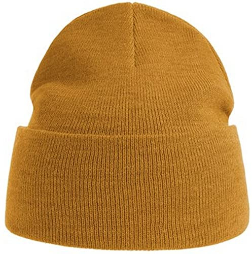 Atlantis Unisex Adult Pure Recycled Beanie (One Size) (Mustard Yellow)