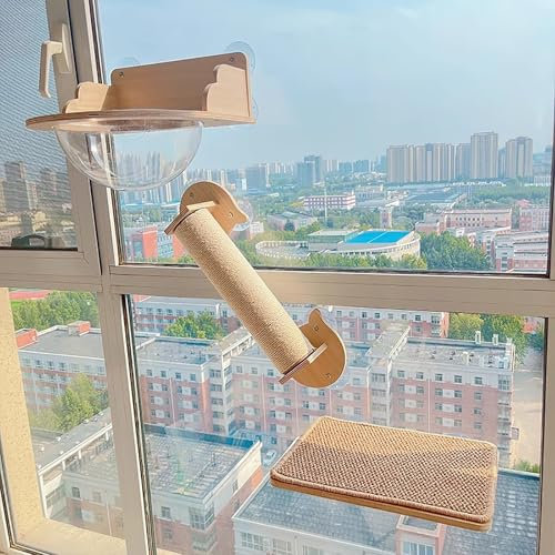 WXXSHGDW 3 PCS Katzen Wand Klettern, Cat Wall Climbing Set, Holz Katzenwand, Kletterwand Katzen Ohne Bohren, Katzenbretter für Die Wand