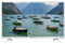 EMtronics 32 inch HD LED TV White with Freeview, HDMI, USB Media Player, COAXIAL, AUX, PVR Recording
