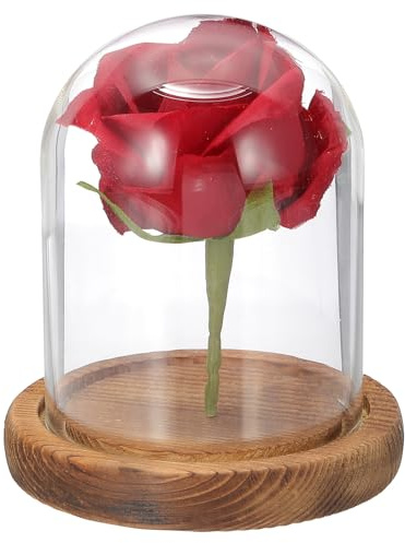 QUARKZMAN Glasglocke Ausstellungsdom 3.9 x 3.1 Glasdom Vitrine Holz | Tischglasbehälter Deko-Glocke, Holzständer, Für Pflanzen, Home Deko Büro Hochzeitsfeier