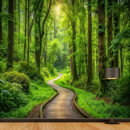 Daesar Wandteppich Natur 240x220, Wandtuch Grün Wald und Pfad Motiv Tapestry Wall Hanging Wandteppiche Kinderzimmer Schlafzimmer