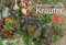 DUMONT - DUMONTS Aromatische Kräuter 2025 Broschürenkalender, 42x29cm, Wandkalender mit Rezepten, Texten und Schulferien, Kalender mit einer Vielfalt an Kräutern