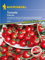 Kiepenkerl Profi-Line Cherry-Tomatensamen Philovita, F1 2767 – Tolerante Sorte - Ertragreich - Wuchshöhe 2 m - Samen Gemüse, Gemüsesamen, Saatgut
