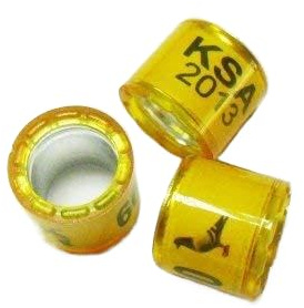 50pcs8mm Customized Bands for Racing Pigeon Ring Birds Leg with Name Telephone