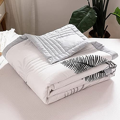 ZQWE Sommerdecke Kühlend Doppelseitig, Bettdecke für Sommer, Bettdecke Atmungsaktiv, Weiche Baumwolle Steppdecke für Menschen Kinder Baby (A/1,200x230cm)