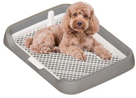 Hundetöpfchen-Tablett – flaches Netzgitter, Indoor-Trainingspad-Halter, Setup -WC, auslaufsicheres Uriniersystem, langlebiges, waschbares Material, abnehmbare Säule für kleine Hunde