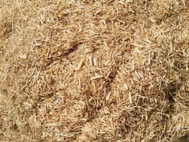 MGI DEVELOPPEMENT 15kg Fibre de Miscanthus Naturelle et Durable - Parfait pour Jardinage, Paillage et Bricolage - Made in France