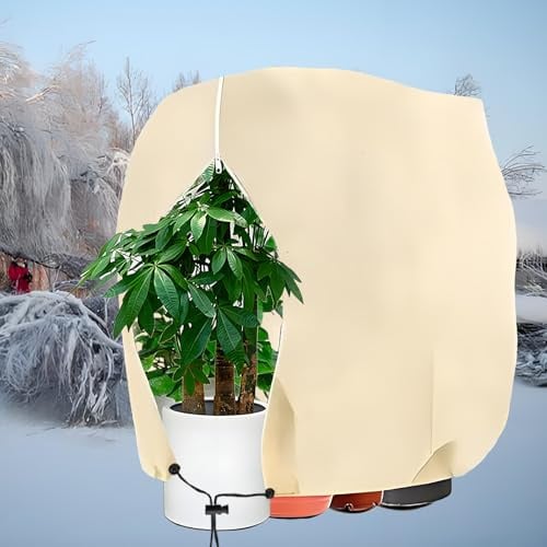 Winterschutz für Pflanzen -Pflanzenschutz Winter üBerwinterungszelt mit Reißverschluss &Zugband Frostschutz Pflanzen Haube Winterschutzvlies für Kübelpflanzen Palmen Olivenbaum（160x240cm/1PCS）