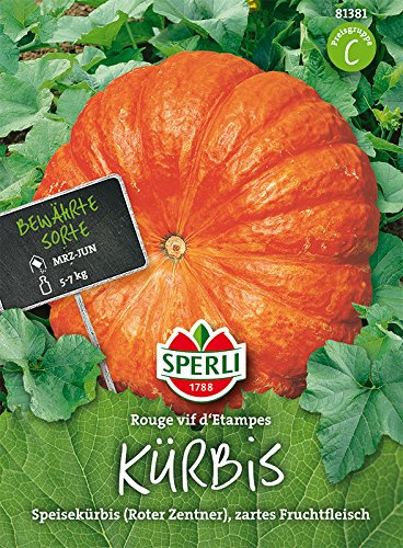 Kürbis, Rouge trés hâtif d'Etampes