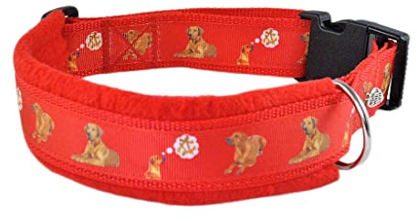 Halsband Rhodesian Ridgeback 50-55 cm Halsumfang