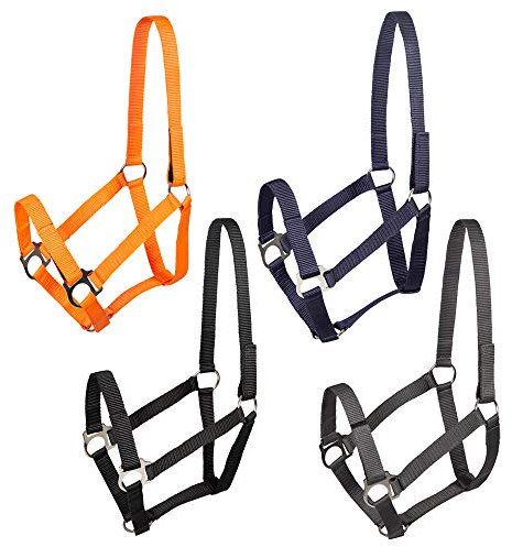 PFIFF 102921 Sicherheitshalfter Jocose, Weidehalfter Paddockhalfter, Orange, MS