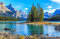 VLIES Fototapete-ALPENS-SEE-(384Pr)-450x280 cm-Spirit Island Maligne Lake Kanada Landschaft Gebirge Wald Strand Wandbild Wandtatoo Poster Tapete