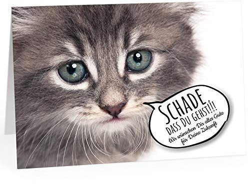 Einladungskarten Manufaktur Hamburg - XXL Abschiedskarte (A4) | Traurige Katze | Mit Umschlag | Hochwertige Klappkarte | Zum Abschied | Maxi Karte | Überformat | Rente