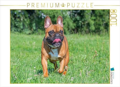 CALVENDO Puzzle Spaß auf der Wiese | 1000 Teile Lege-Größe 64 x 48 cm Foto-Puzzle für glückliche Stunden