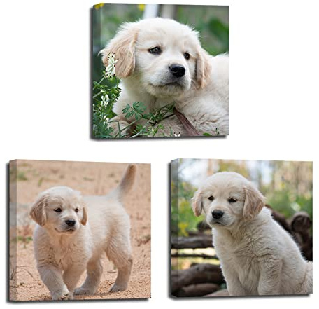 LZIMU Bild auf Leinwand Mit Eigenem Bild Personalisiertes 3 Foto Kunstdruck Geschenk Wandbilder Für Freunde Und Familie Foto Geschenk Wandbilder(Gerahmt, 40x40cmx3 Stück)