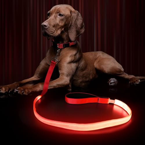 LED Hundeleine für Hunde, Hundeleine Große klein Mittelgroße Hunde mit Gepolstertem, 3 Beleuchtungsmodi Leine Hund, Wasserdicht hundeleinen, Leuchtend Hundeleine, Dog Leash