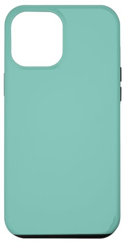 Teal Case for iPhone 12 Pro Max