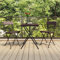 CINDERFUL Bistrostühle 2 STK. Klappbar Braun Poly Rattan und Stahl Gartenmöbel Gartenstühle
