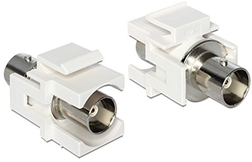 DeLOCK Adapter 4043619863013