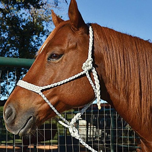 Martin Saddlery Maultierband, geflochten, mit Leine, breite Nase, Top Qualität