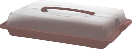 Rotho Partybutler JOHN medium iron rot Kuchentransportbox