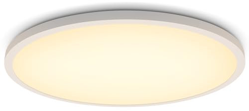 Yuanfenghua LED Deckenlampe 21W, Ø30cm 2400 Lumen Deckenleuchte, 3000K, Energiesparende Deckenleuchte Modern Rund, Einfache Installation für Badezimmer, Schlafzimmer, Küche, Balkon, Keller, Büro