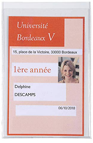 Exacompta 5392E 10er Pack PVC-Schutzhülle für Studentenkarten und Ausweise, 75 x 120 mm, PVC, um dem täglichen Gebrauch standzuhalten, 2 Betrachtungsgesichter