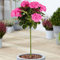 Hydrangea Macrophylla Tree Collection | Lollipop-Bäume für kleine Gärten