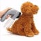 Uikdjgu Electric Pet Hair Remover Suction Device For Dog Cat Grooming Vacuum System Clean Fur
