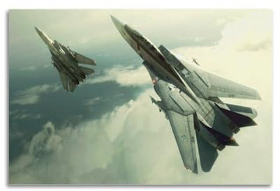Fighter Jet Poster F-14 Tomcat Fighter Aircraft dekoratives Gemälde auf Leinwand, Kunstbild, 30 x 45 cm