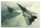 Fighter Jet Poster F-14 Tomcat Fighter Aircraft dekoratives Gemälde auf Leinwand, Kunstbild, 30 x 45 cm
