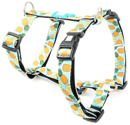 Max & Molly H-Geschirr - Sweet Pineapple, L
