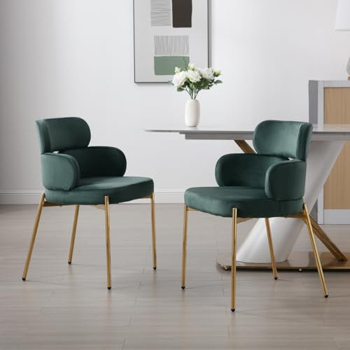 chairus 2er Set Samt Gepolsterte Esszimmerstühle für Küche Moderne Küchenstühle Sessel Wohnzimmer Polsterstuhl für Esstisch Esszimmer (Grün)