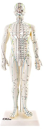 66fit Unisex Acupuncture Model, Multi-Colour, 50 Cm EU