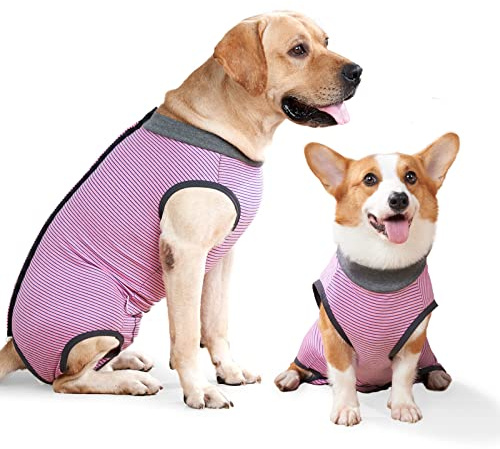 LIANZIMAU Combinaison Stérilisation Post-Opératoire pour Chien - Body Médical Castration Mâle/Femelle - Déguisement XXXL (Lot de 1)