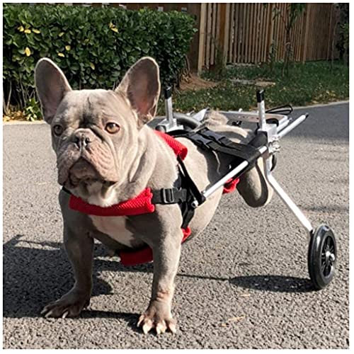 Haustiere Wagen Hunderollstuhl Für Hinterbein/Hintere Füße Rehabilitation Rollstuhl Dog Wheelchair Für Hunde Katze Hase Haustier Von 2~44 Lb Hundegehilfe Hunderollwagen