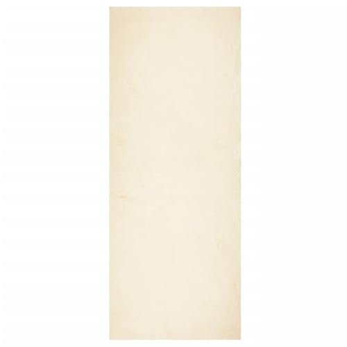 vidaXL Teppich, Wohnzimmerteppich Kurzflor Weich Waschbar, Moderner Teppich für Wohnzimmer Schlafzimmer, Flauschig Einfarbig rutschfest, Creme 80x200cm