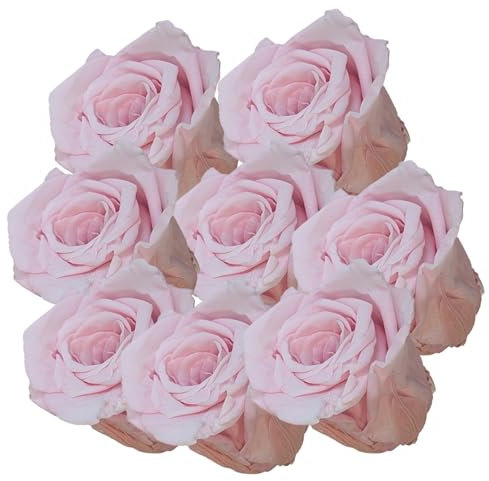 your castle Infinity Rosen | Ewige Rose |8 Stück gefriergetrocknete Rosen in Dunkelrosa | Konservierte echte Blumen, die nie verwelken | Deko | Tischdeko