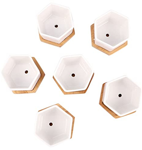 BESPORTBLE 12pièces Lot de Mini Pots pour Plantes avec Blanc pour Jardin Intérieur Et Décoration De Fenêtre