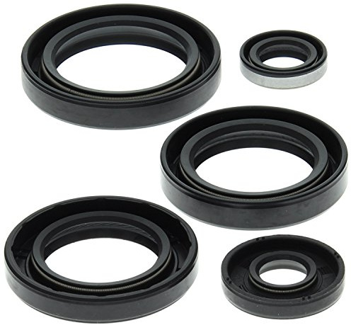 Winderosa 822213 Engine Oil Seal Kit