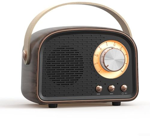 Portable Retro Wireless Speaker, Retro Cute Speaker With FM Radio Speaker Music Stereo Rechargeable, Fast Recharge (Black)
