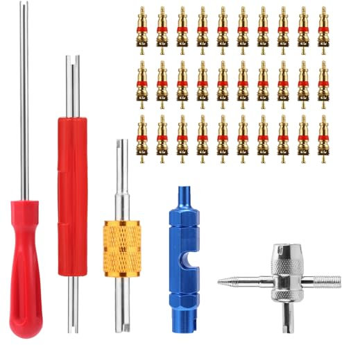 lasuroa Tyre Valve Core Tool Kit, Including 5pcs 4 in 1 & Double Single Head Wrench Removal Tool & 30 Copper Valve Core for All Standard Schrader Valves Car Bike RV Truck HVAC AC Repair