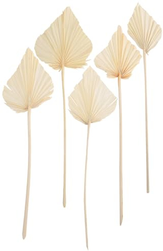5 Stück Getrocknete Palmblatt Fächer, Weiß, Wanddekoration | Natürliche Trockenpflanzen für Blumenarrangement und Fotorequisite, für Hochzeiten, Valentinstag, Wohnraum