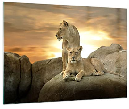 Moderne Impression sur Verre 100x70cm Image Tableau en Verre Decoration Murale Lions Coucher de soleil Roches griffes Grand Tableaux Decoratifs Muraux Chambre Horizontal Deco Salon Art GAA100x70-2958