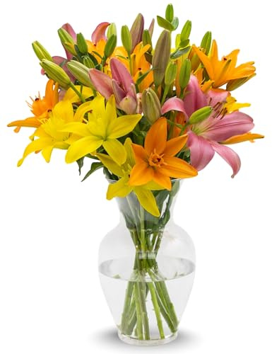 Stargazer Barn – 10 Stem Sunrise Royal Lily Bouquet – Mother’s Day Flowers for Mom – Fresh Flower Delivery, Farm Fresh, Hand-Tied in USA, Ready to Gift – No Vase Included