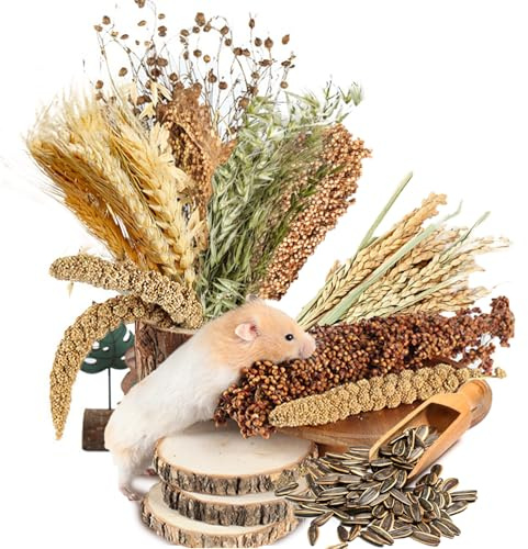 NICERINC PET Natural Ear of Grain Flower&Herb Bedding Mate Habitat Decor, Adding Fun Hamster Accessories for Hamsters Gerbils Lemming