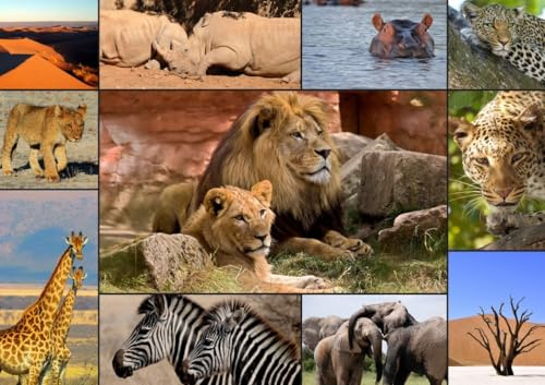 Puzzle 1500 Teile - Collage - Wildlife
