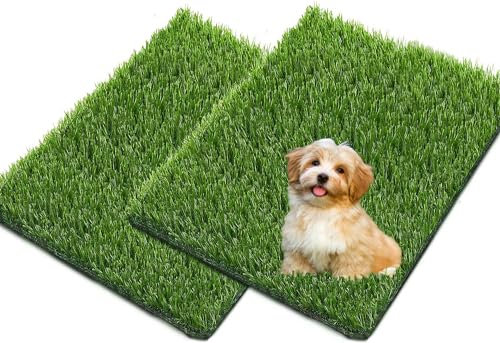 Jeamis Lot de 2 toilettes pour chien - Gazon artificiel - Pour l'entraînement - Tapis de litière pour chiots - 51 x 63 cm
